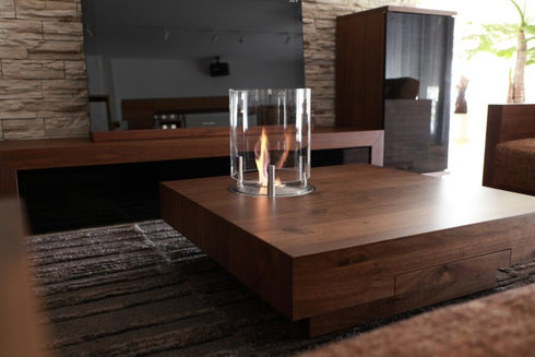 Ecosmart Fire AB3 Ethanol Burner - Stainless Steel Finish - ESF.B.AB3.WTT